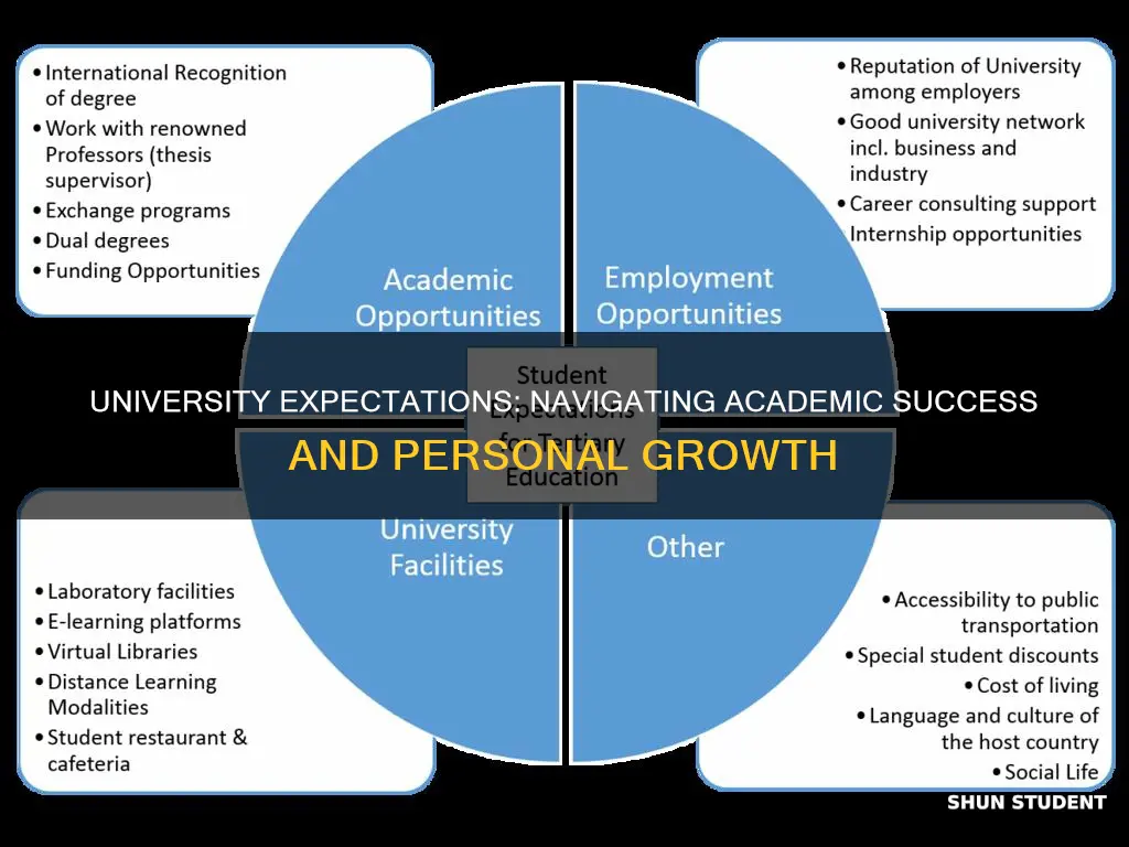 what is expected from you as a university student