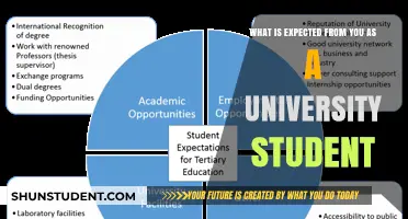 University Expectations: What You Need to Know
