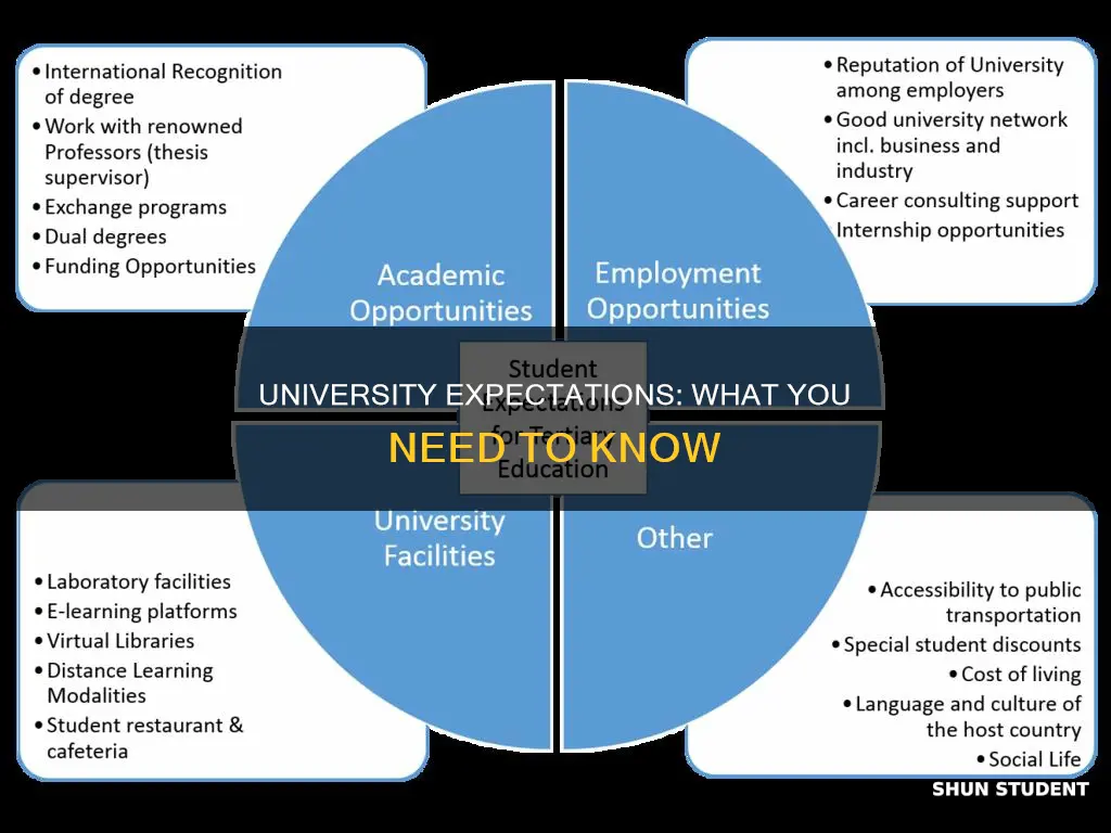 what is expected from you as a university student