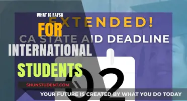 FAFSA Guide for International Students: Understanding the Application