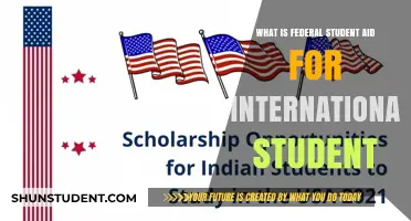 International Students: Federal Aid Options