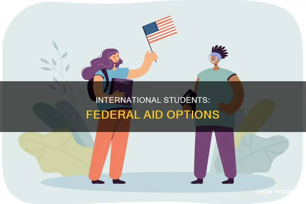 what is federal student aid for international student