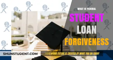 Understanding Federal Student Loan Forgiveness: A Comprehensive Guide for Borrowers