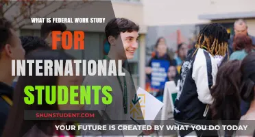Federal Work-Study for International Students: Eligibility and Benefits