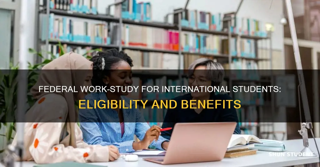 what is federal work study for international students