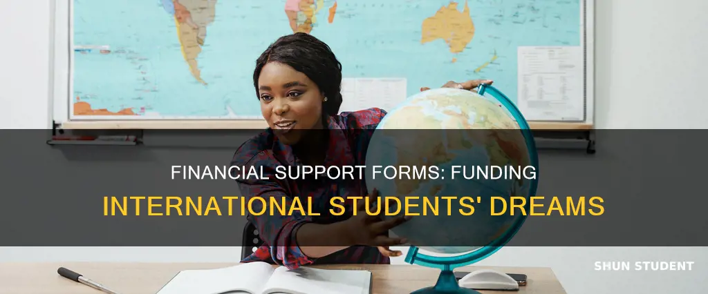 what is financial support form for international students