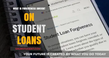 Understanding Student Loan Forgiveness: What Amounts Can Be Forgiven?