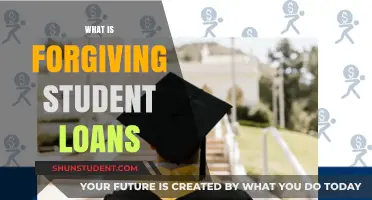 Understanding the Impact of Forgiving Student Loans on Borrowers and Economy