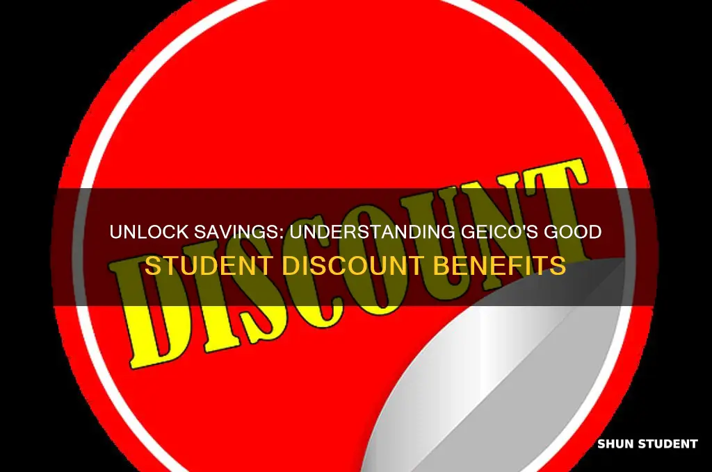what is geico