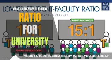 Optimal Staff-to-Student Ratio: Enhancing University Learning Experience