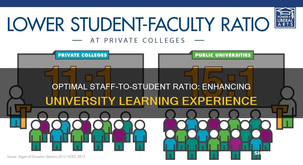 what is goid staff to student ratio for university