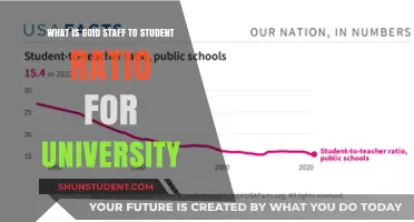 Staff-Student Ratio: What Makes a University Classroom Ideal?