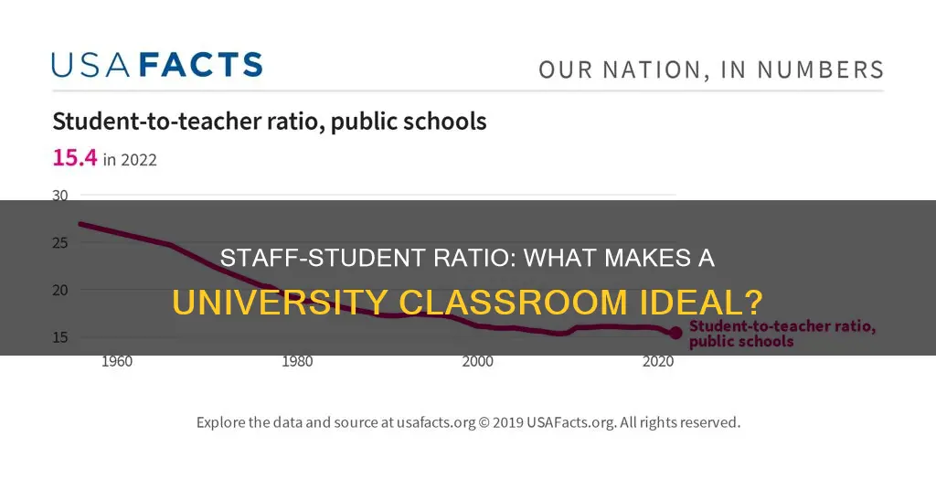 what is goid staff to student ratio for university