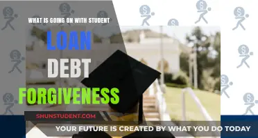 Student Loan Debt Forgiveness: Current Status, Challenges, and Future Outlook