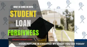 Student Loan Forgiveness Chaos: What’s Happening and What’s Next?