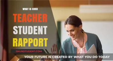 Building Strong Teacher-Student Connections: The Key to Effective Learning