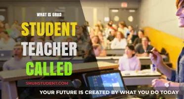 Understanding the Role: What is a Grad Student Teacher Called?