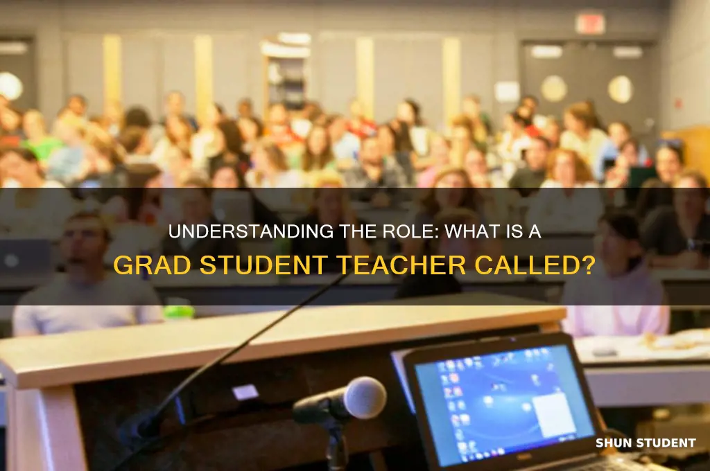 what is grad student teacher called