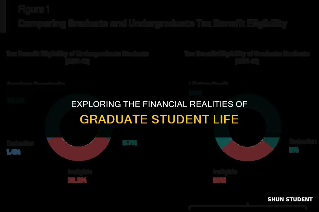 what is graduate students income
