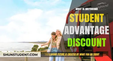 Greyhound Student Advantage Discount: Affordable Travel for Students Explained