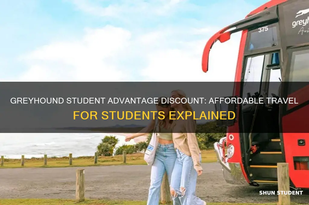 what is greyhound student advantage discount