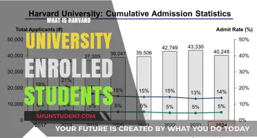 Harvard University: Student Enrollment Insights