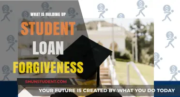 Student Loan Forgiveness Delayed: Legal Battles, Politics, and Bureaucracy Explained