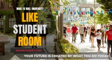 Exploring Hull University's Student Life: A Room-by-Room Guide