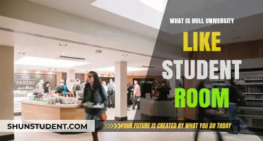 Hull University: Student Room Experience