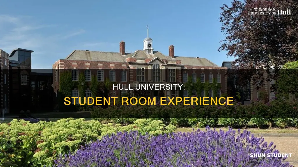 what is hull university like student room