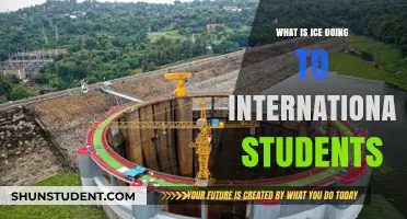 ICE's Actions: International Students' Plight