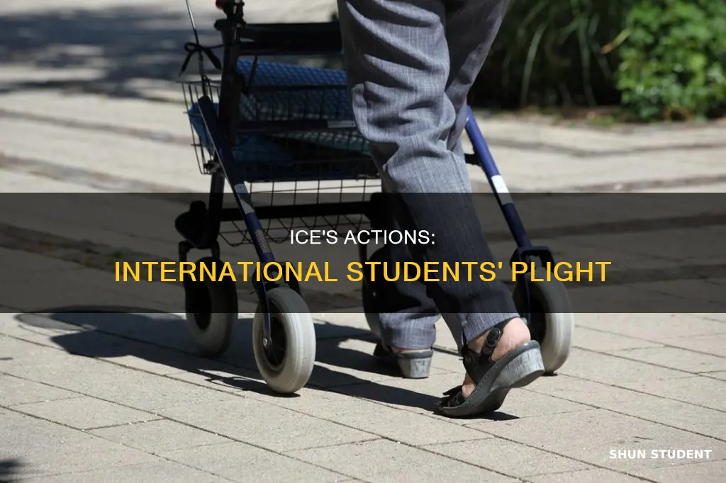 what is ice doing to international students