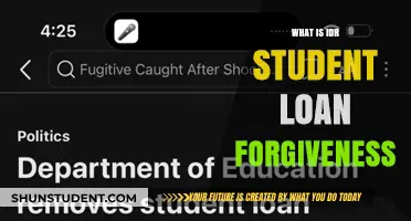 Understanding IDR Student Loan Forgiveness: A Comprehensive Guide for Borrowers