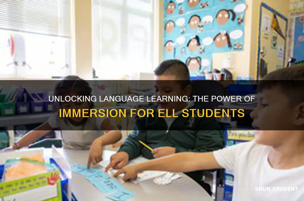 what is immersion when teaching ell students