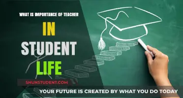 The Vital Role of Teachers in Shaping Student Success and Growth
