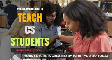 Empowering Future Innovators: The Critical Importance of Teaching CS Students