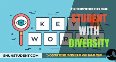 Teaching Diverse Students: Key Strategies for Inclusive and Effective Learning