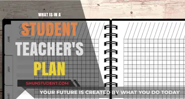 Crafting a Comprehensive Student Teacher Plan: Essential Components and Strategies