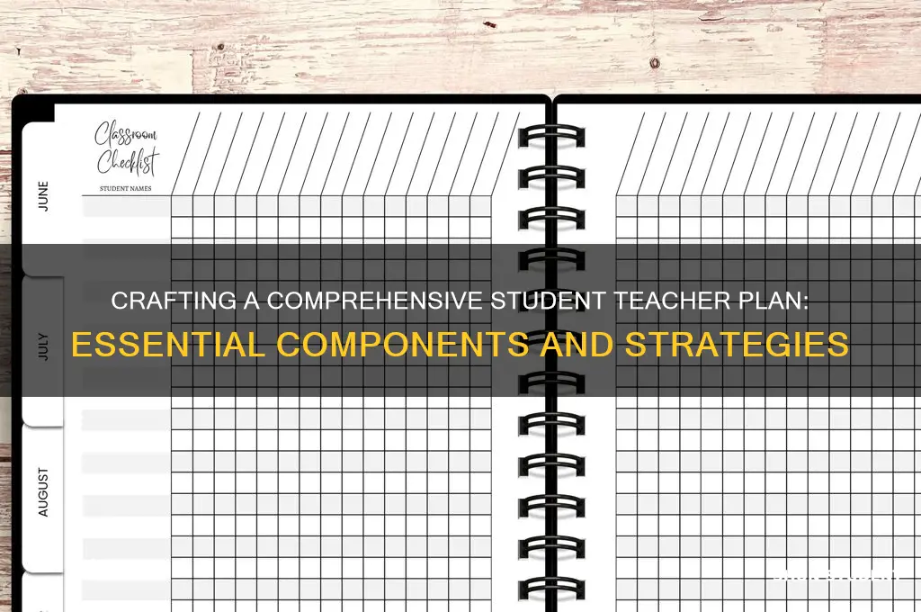 what is in a student teacher