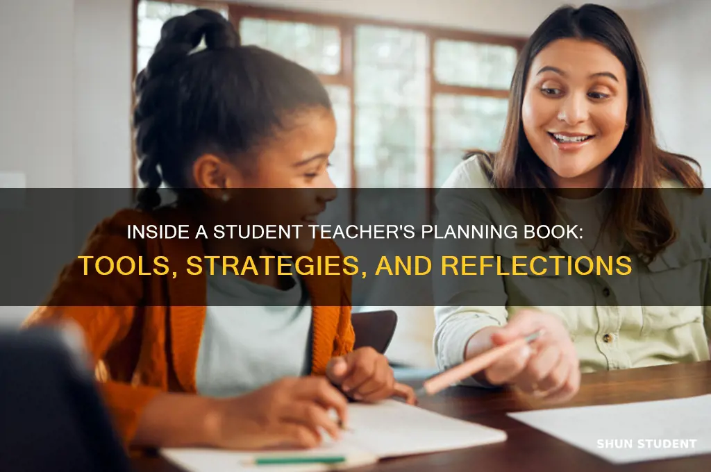what is in a student teacher
