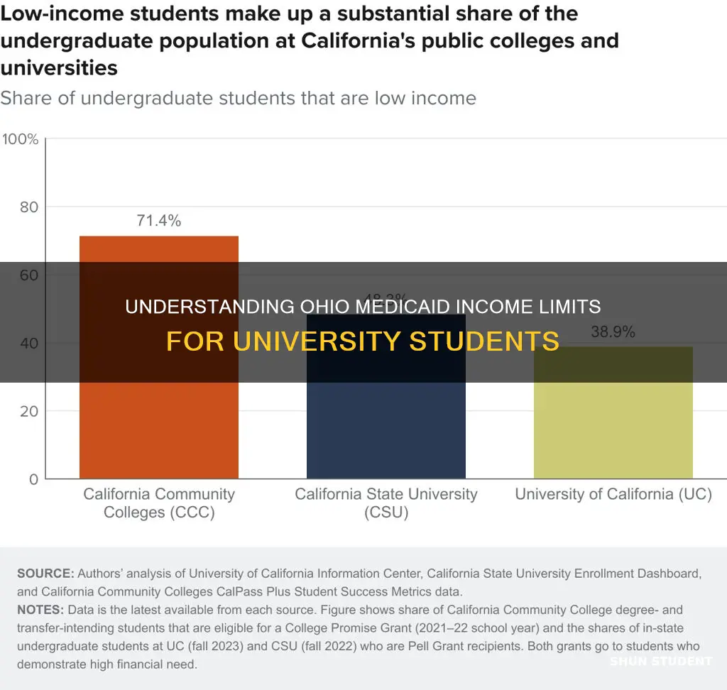 what is included in income for ohio medicaid university student