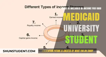 Ohio Medicaid: What Counts as Income for Students?