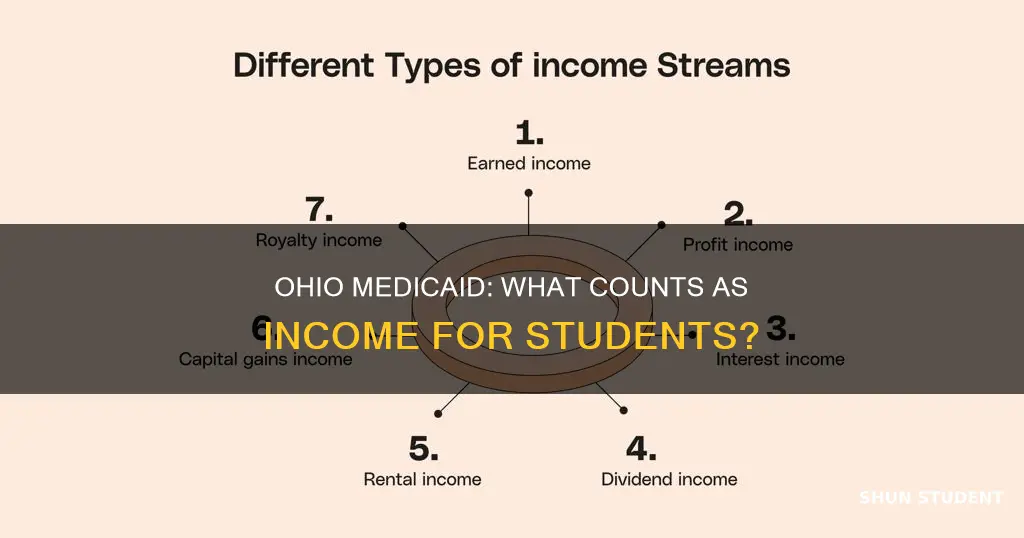 what is included in income for ohio medicaid university student