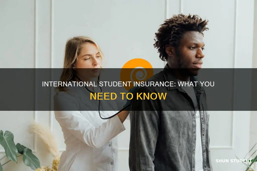 what is ins for international students