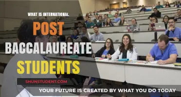 Post-Baccalaureate Pathways: International Student Opportunities