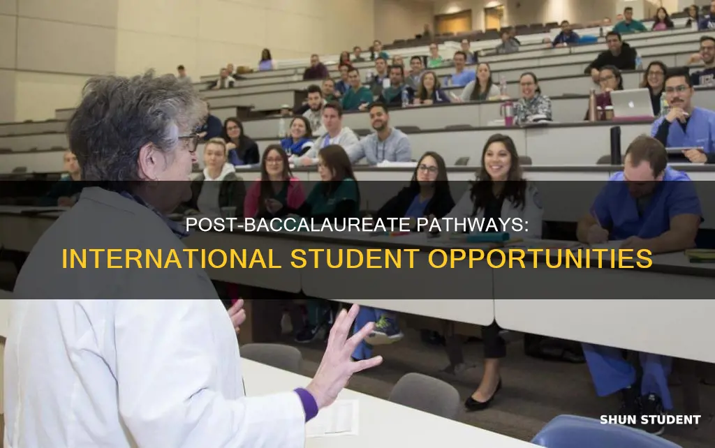 what is international post baccalaureate students