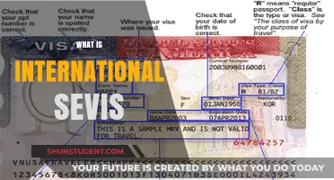 Understanding SEVIS: International Student Monitoring System