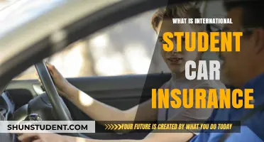 International Student Car Insurance: What You Need to Know