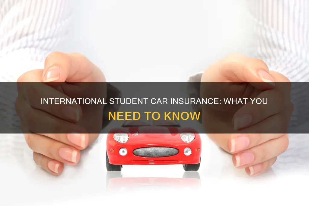 what is international student car insurance