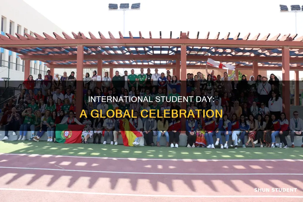 what is international student day